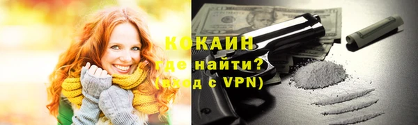 мдпв Богданович