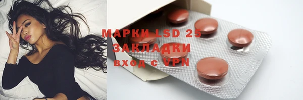 мдпв Богданович
