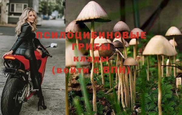 сатива Бугульма