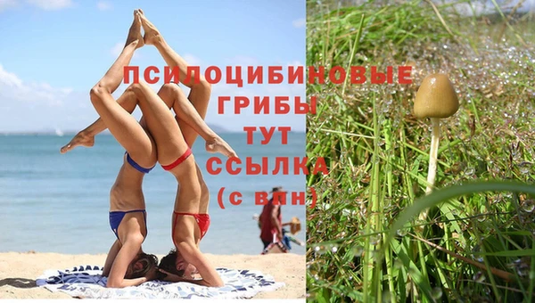 мет Бородино