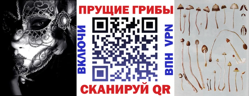 как найти закладки  Мышкин  Галлюциногенные грибы MAGIC MUSHROOMS 